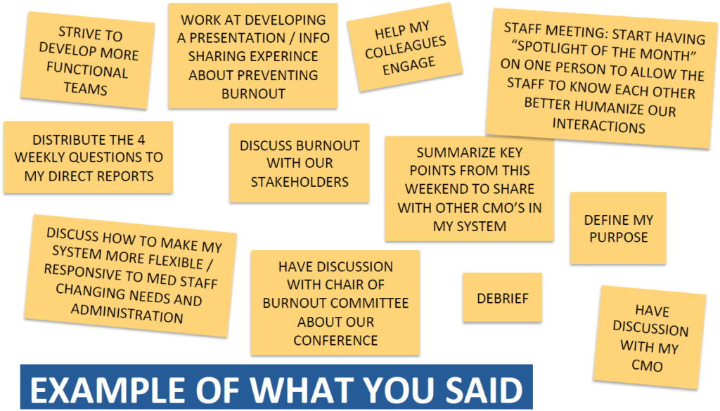 Clinician Burnout and Wellbeing - project results